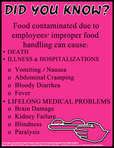 Food handling poster thumbnail